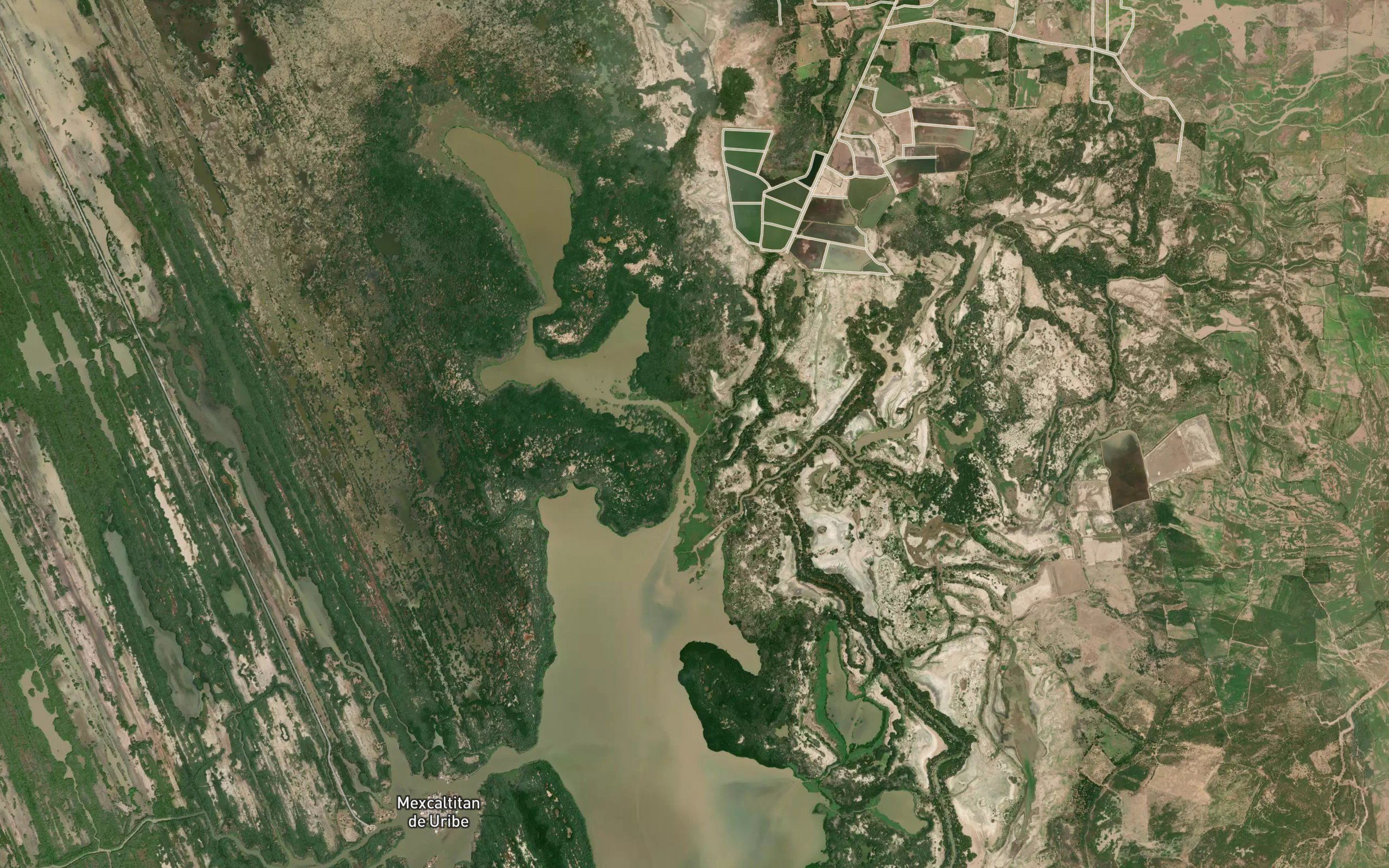 Estero Ticha