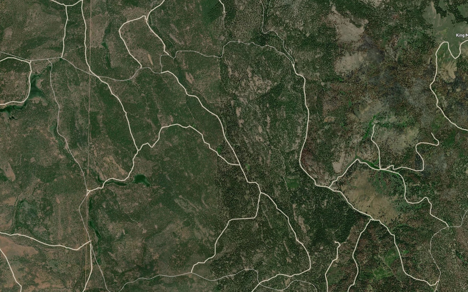 Satellite map of the Marshall Spring