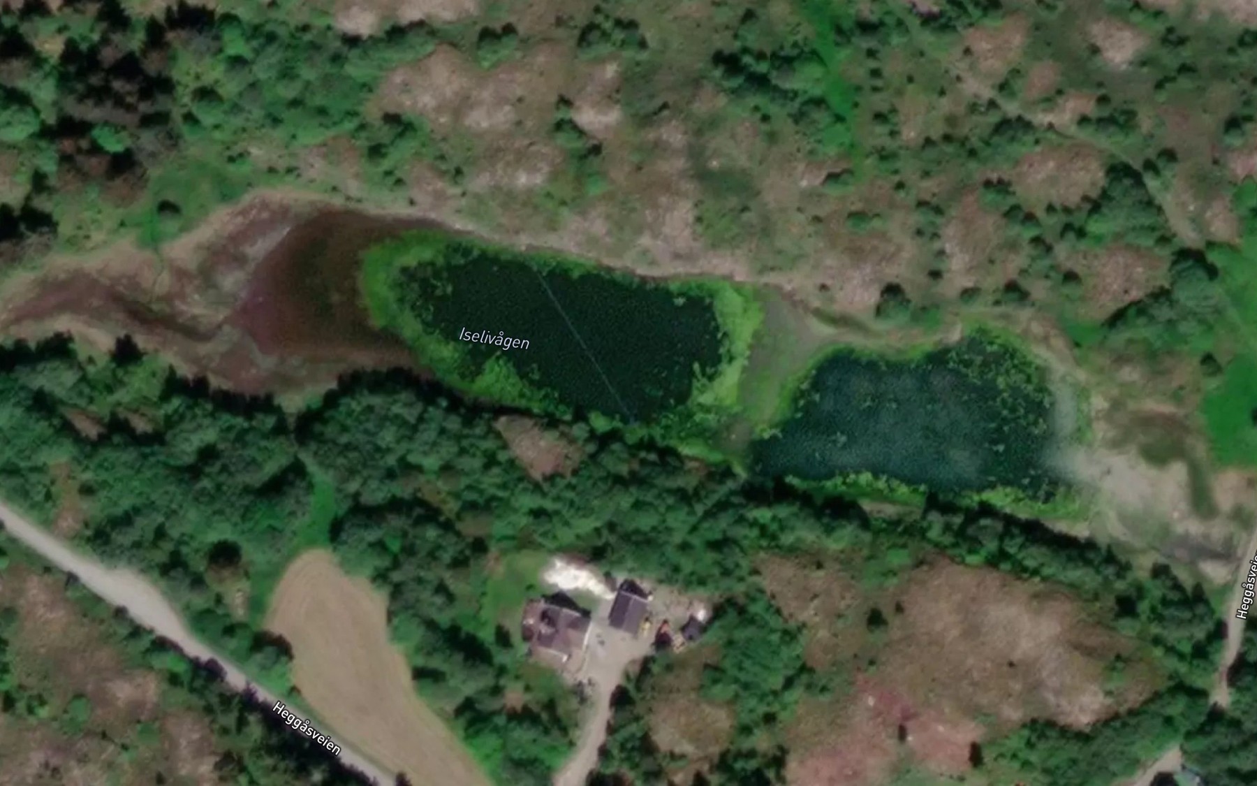 Satellite map of the Iselivagen
