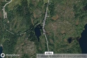 Stemmetjorna