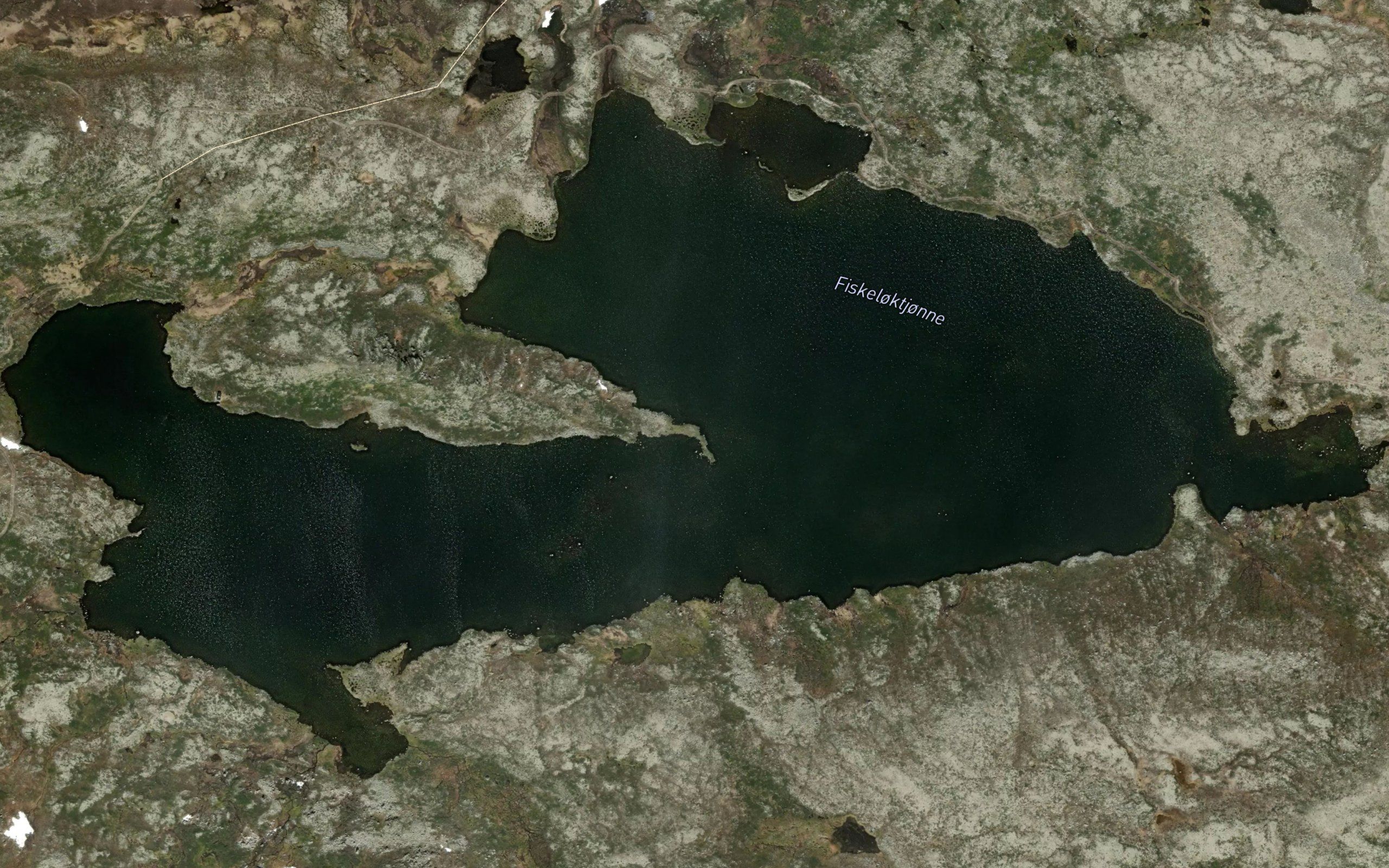 Fiskeloktjonne