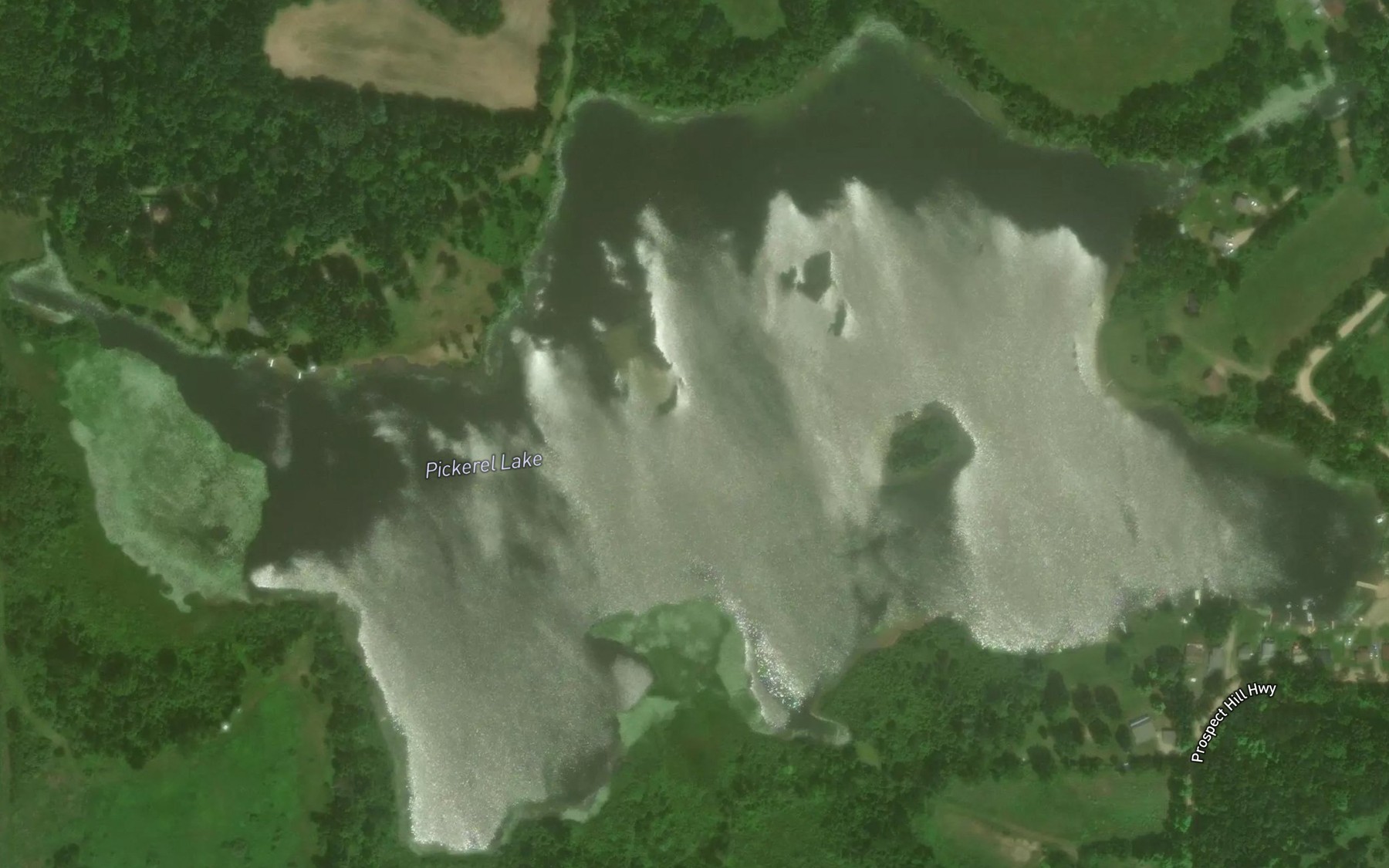 Satellite map of the Pickerel Lake