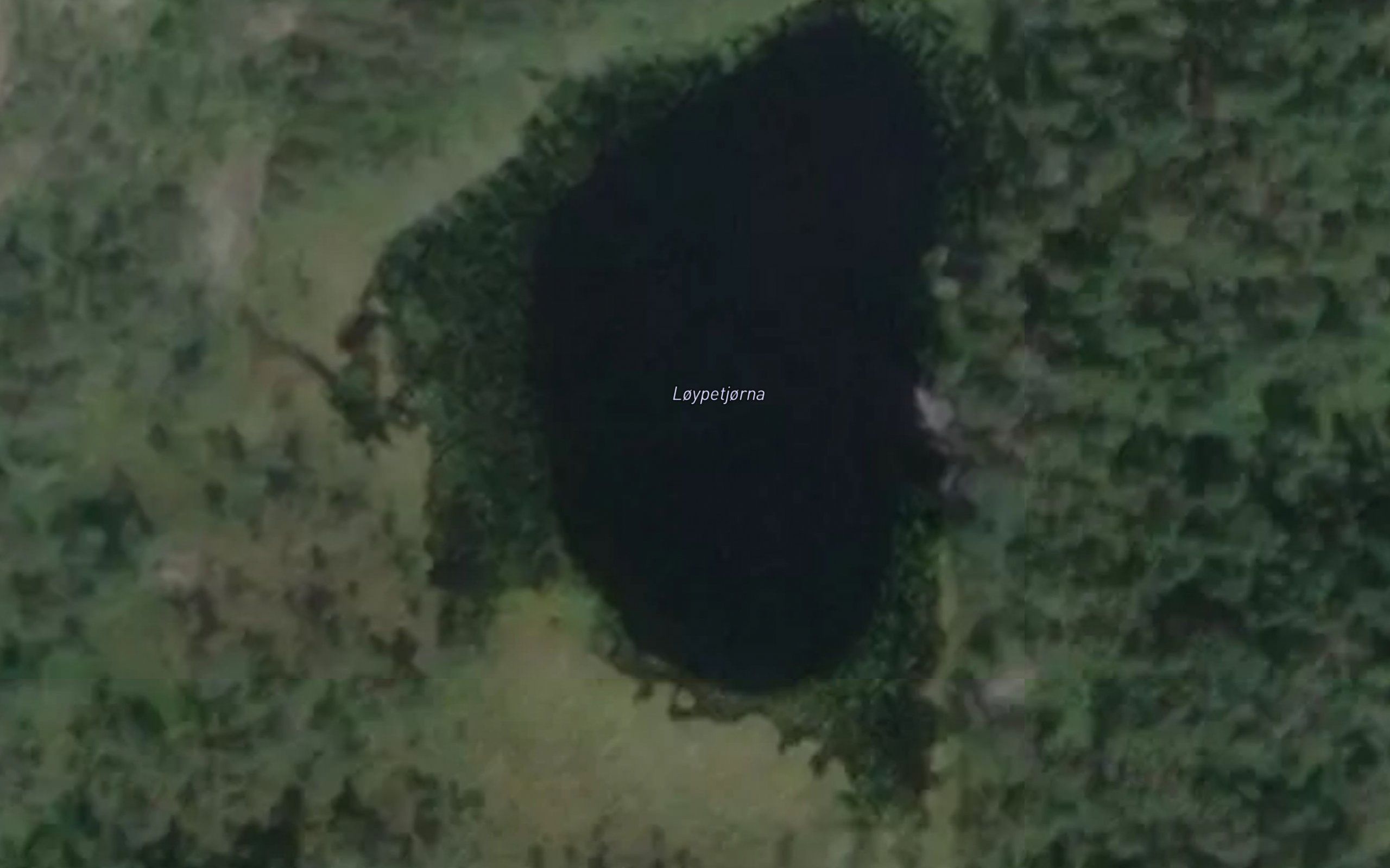 Loypetjorna