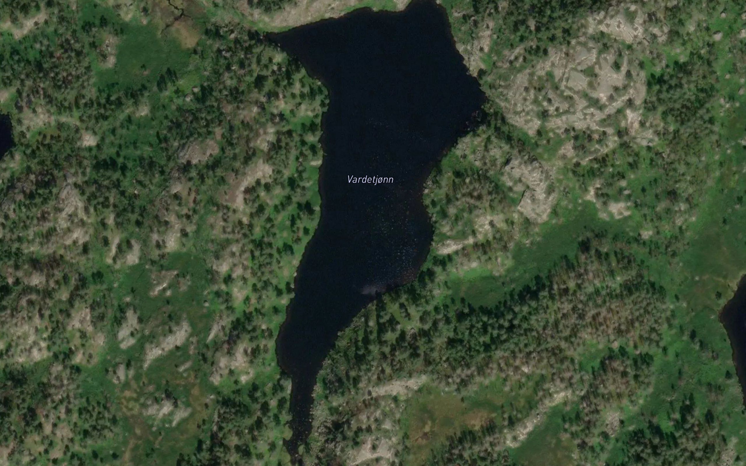 Vardetjonn