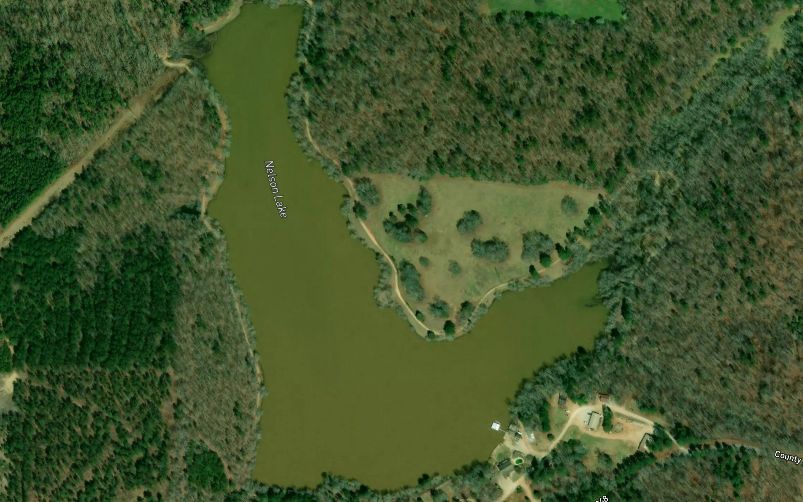 Nelson Lake