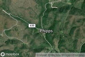 Left Fork Bearpen Creek