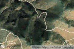 Woody Springs