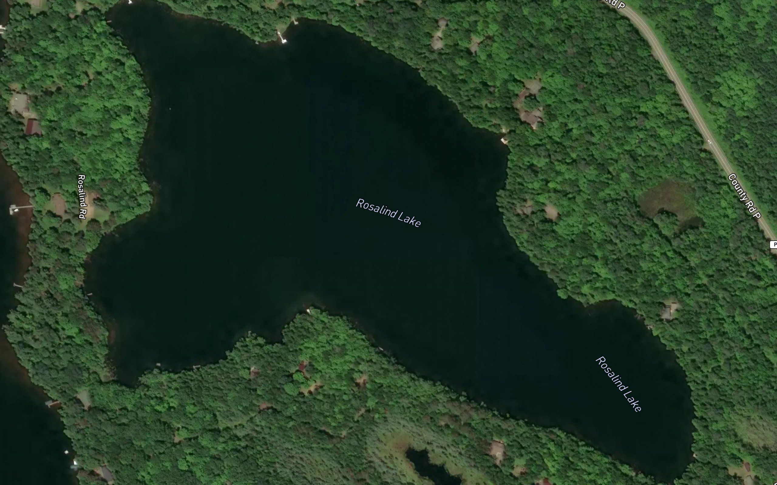 Rosalind Lake