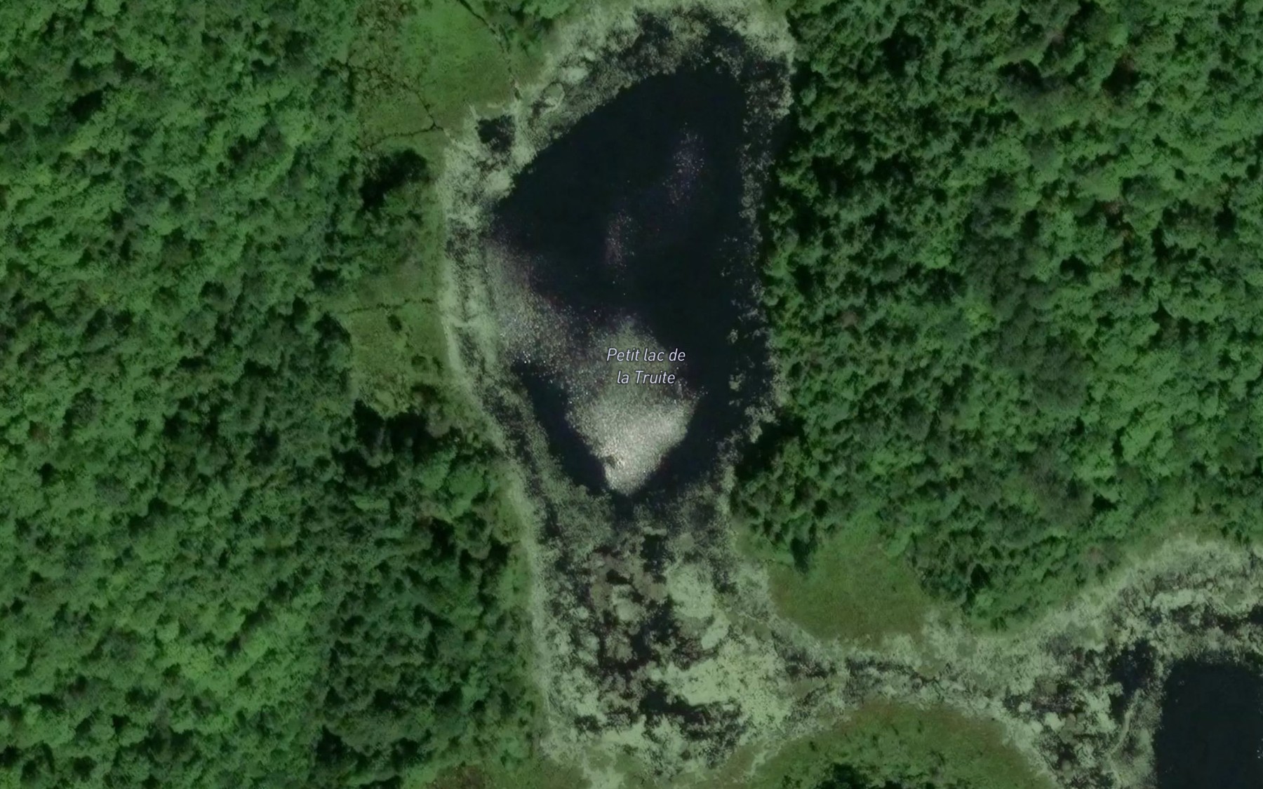 Satellite map of the Petit lac de la Truite