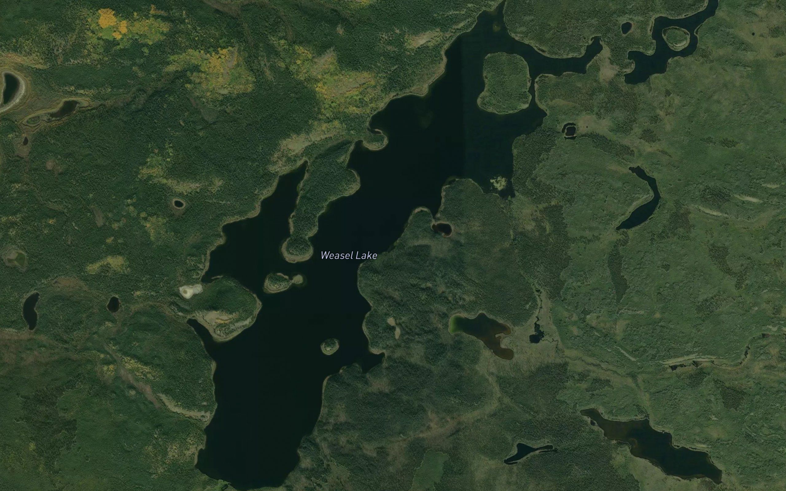 Weasel Lake