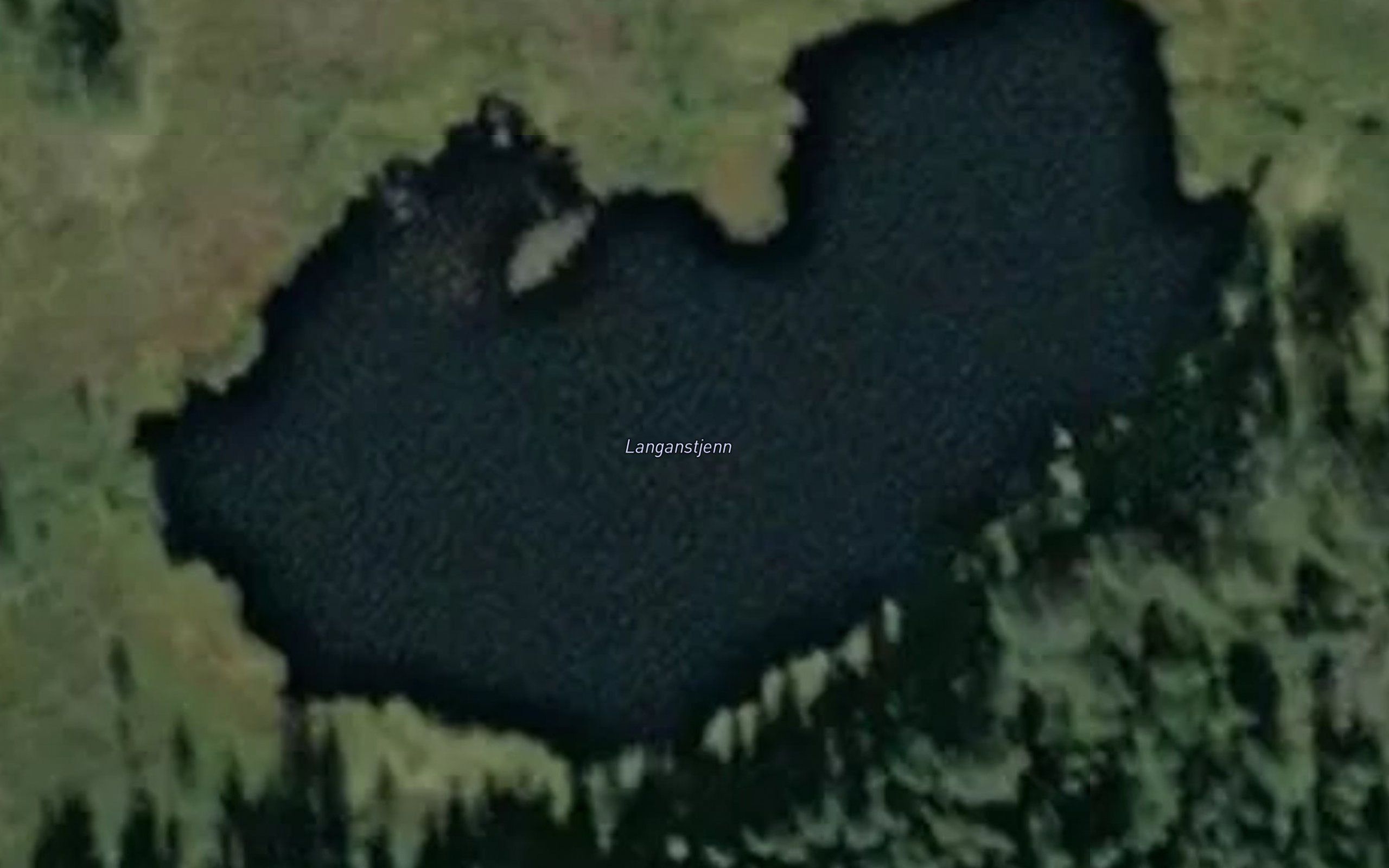 Langanstjenn