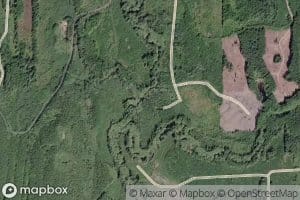 Middle Fork Dickey River