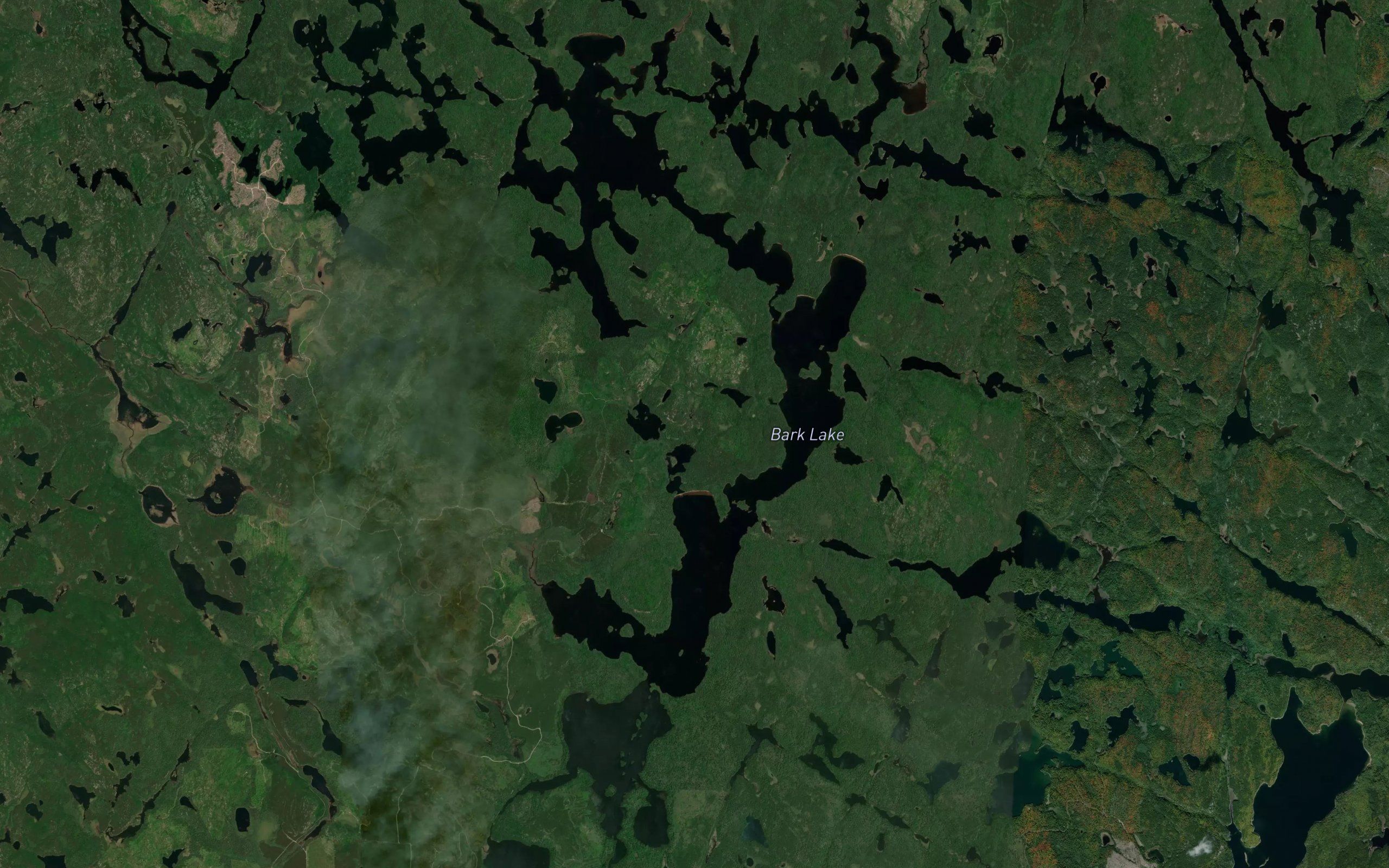 Bark Lake