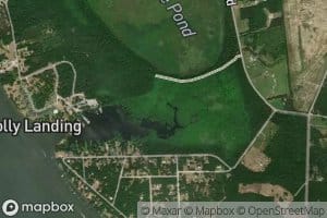 Polly Cantey Pond