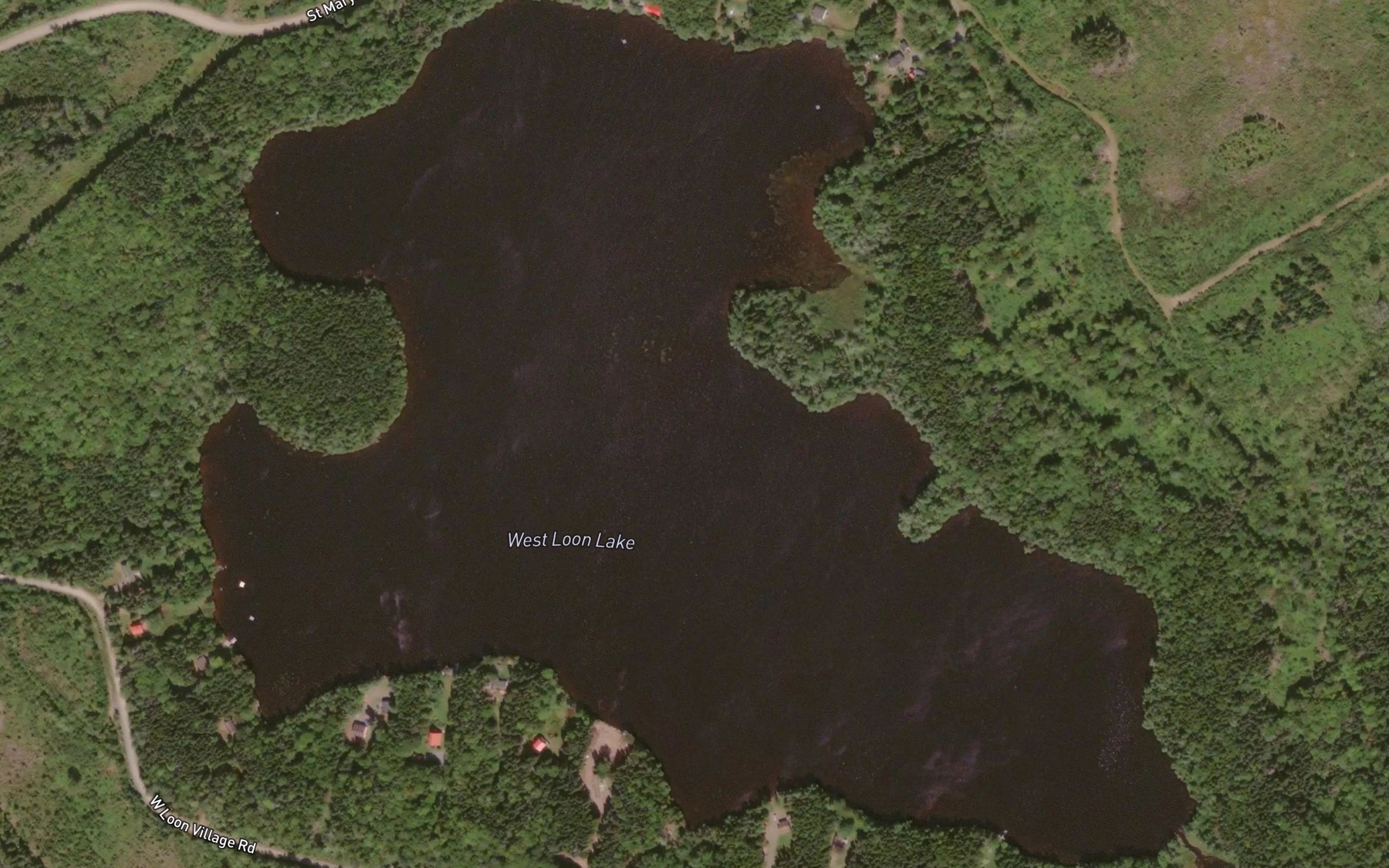 Satellite map of the West Loon Lake