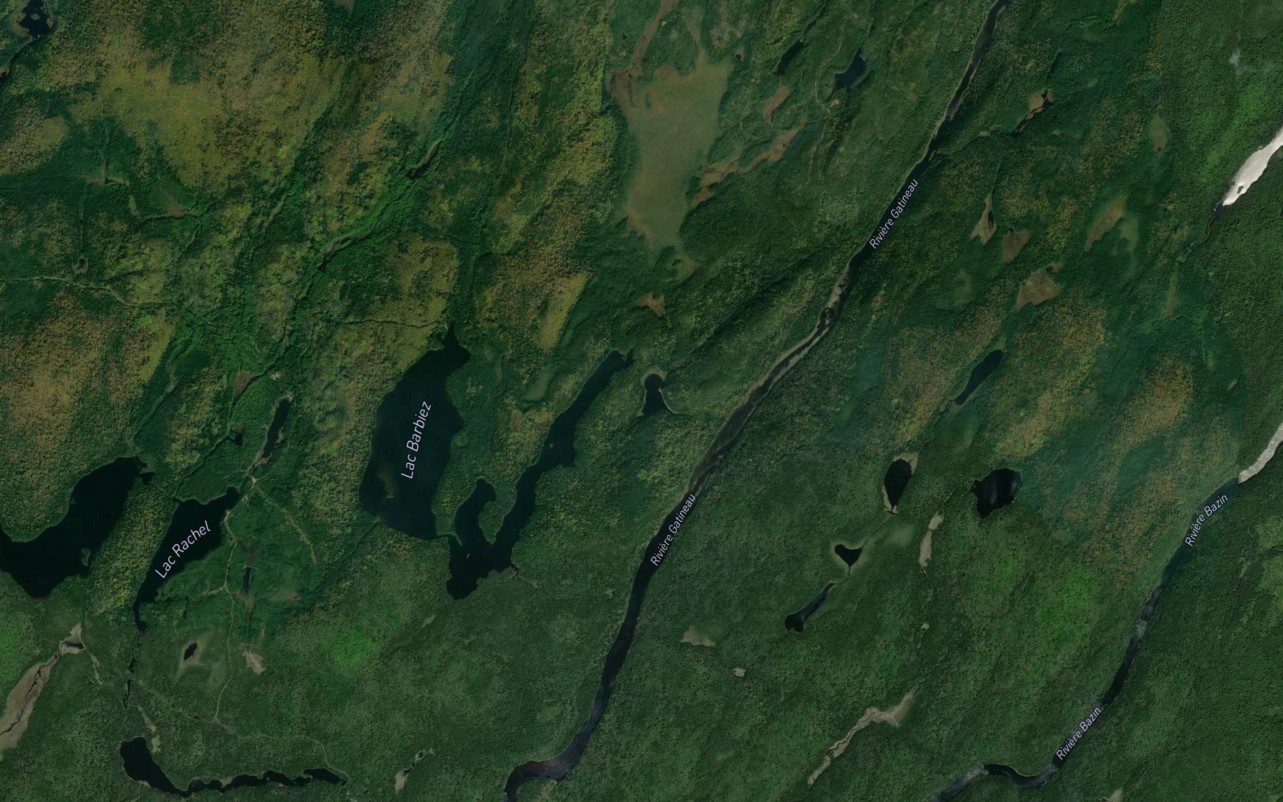 Lac Otter