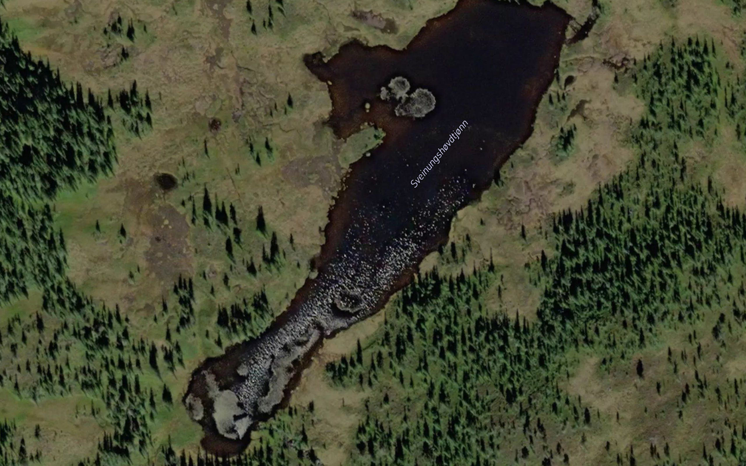 Sveinungshovdtjorna