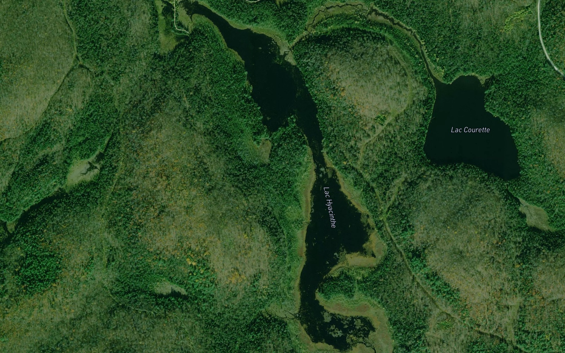 Satellite map of the Lac Hyacinthe