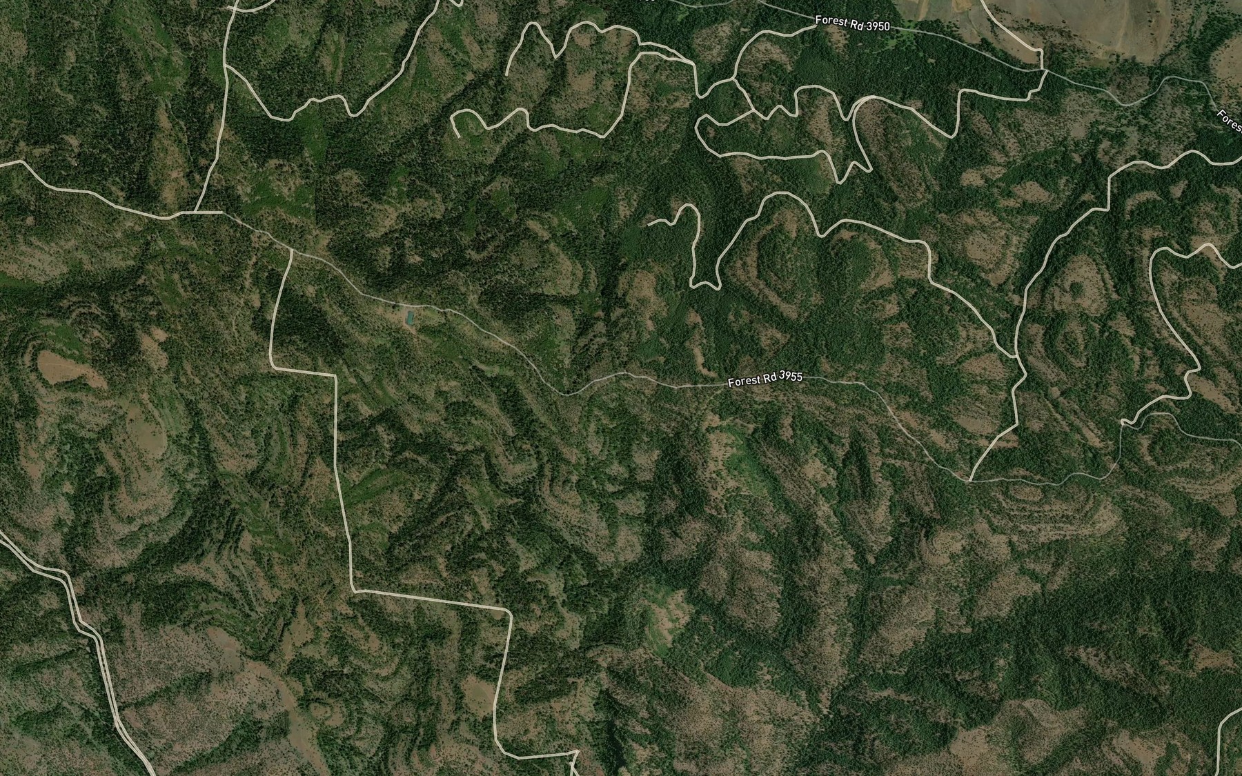 Satellite map of the Dolly Spring