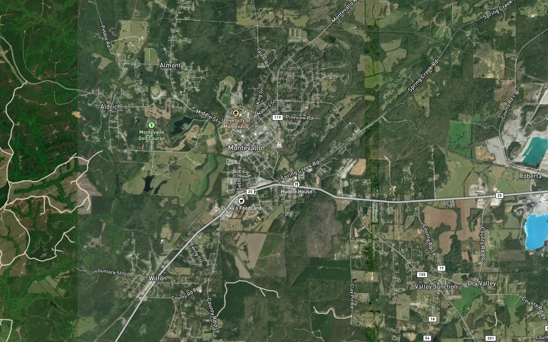 Satellite map of the Big Spring