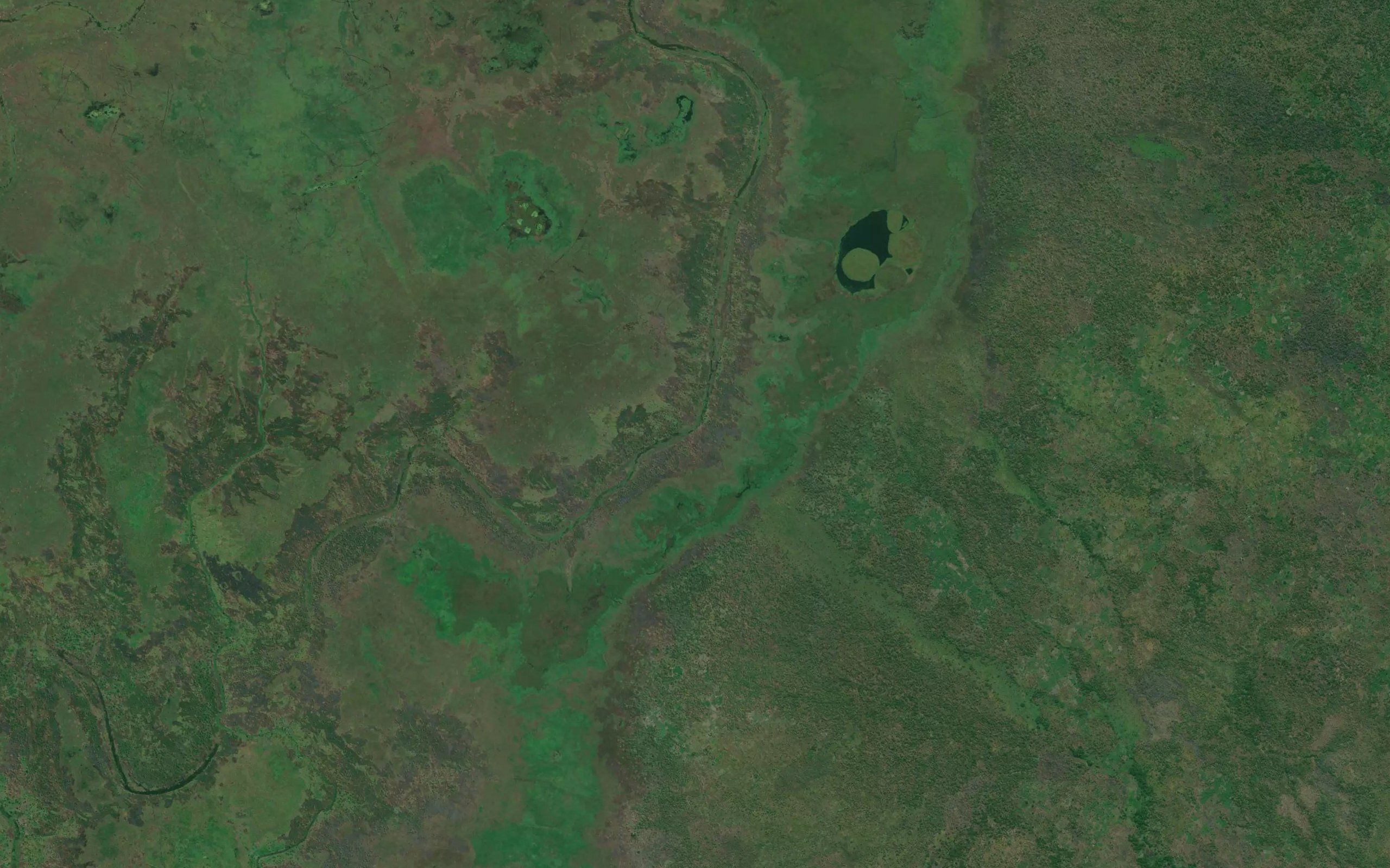 Mukanga