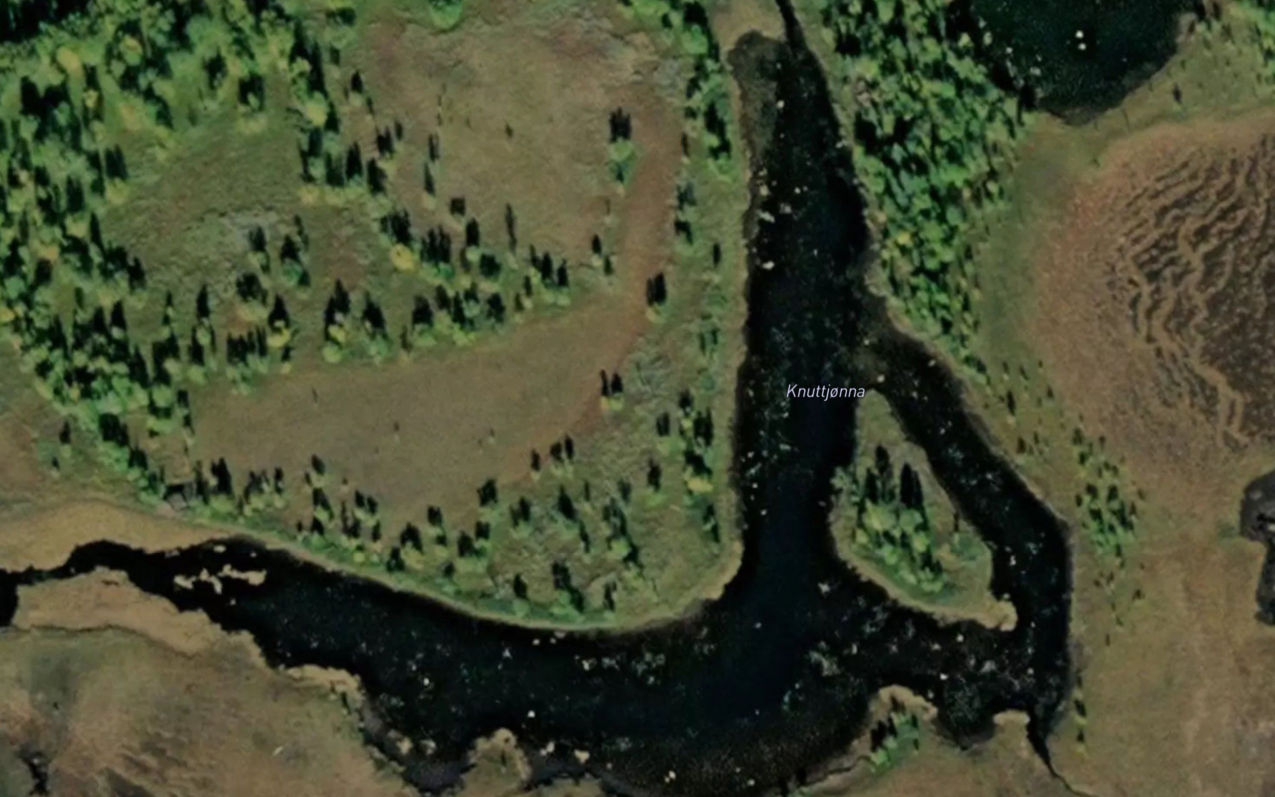 Knuttjorna