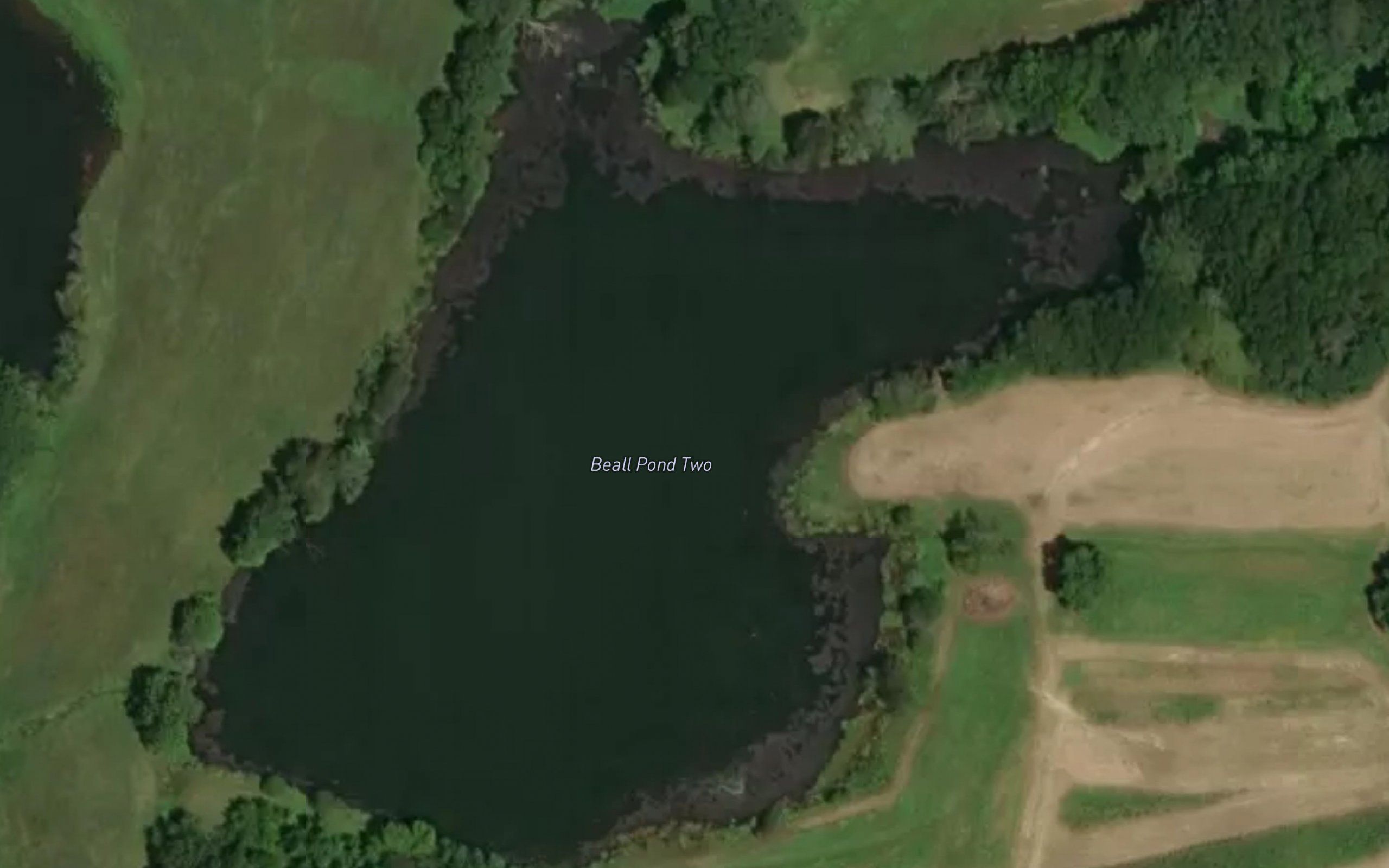 Beall Pond Two