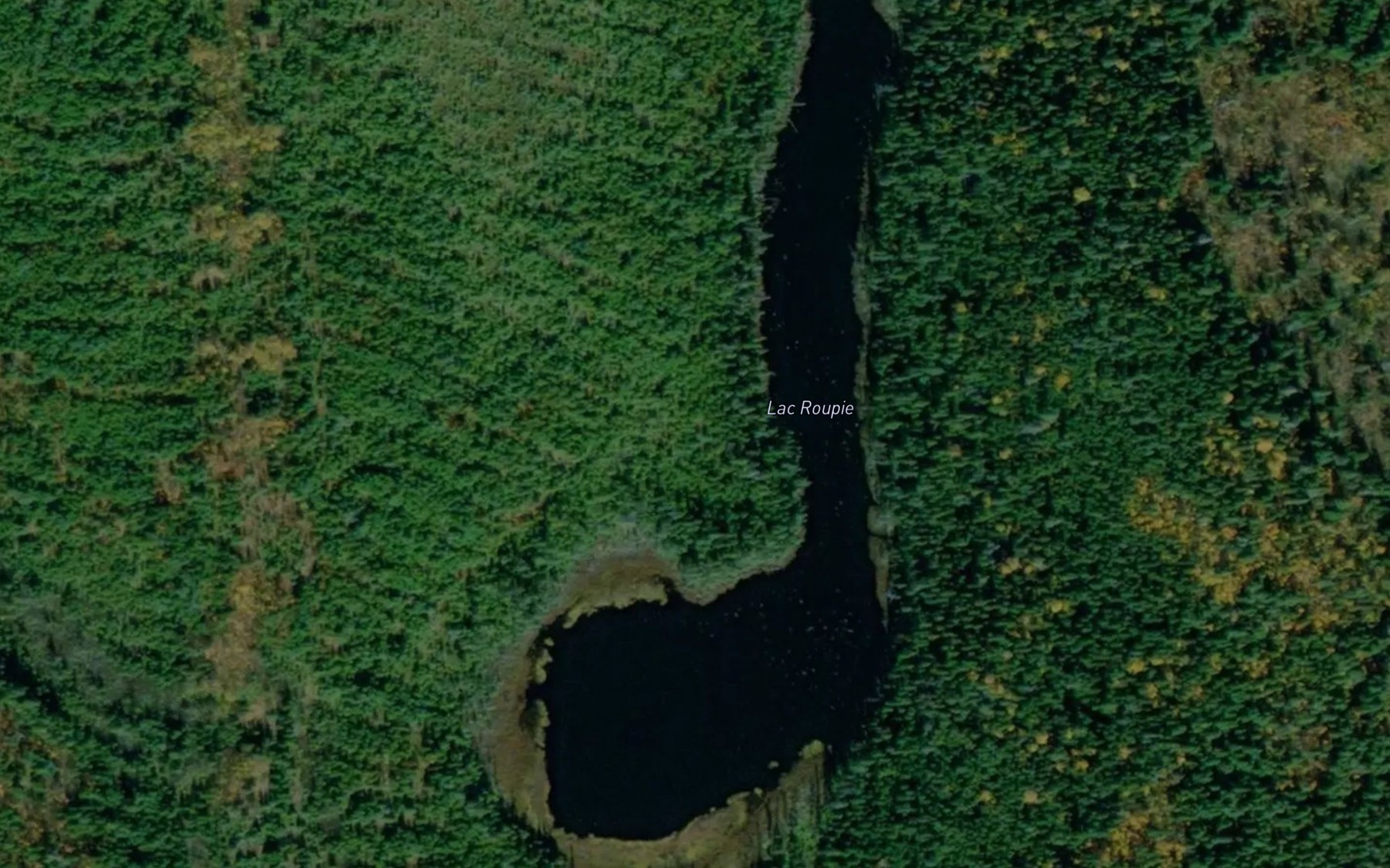 Satellite map of the Lac Roupie
