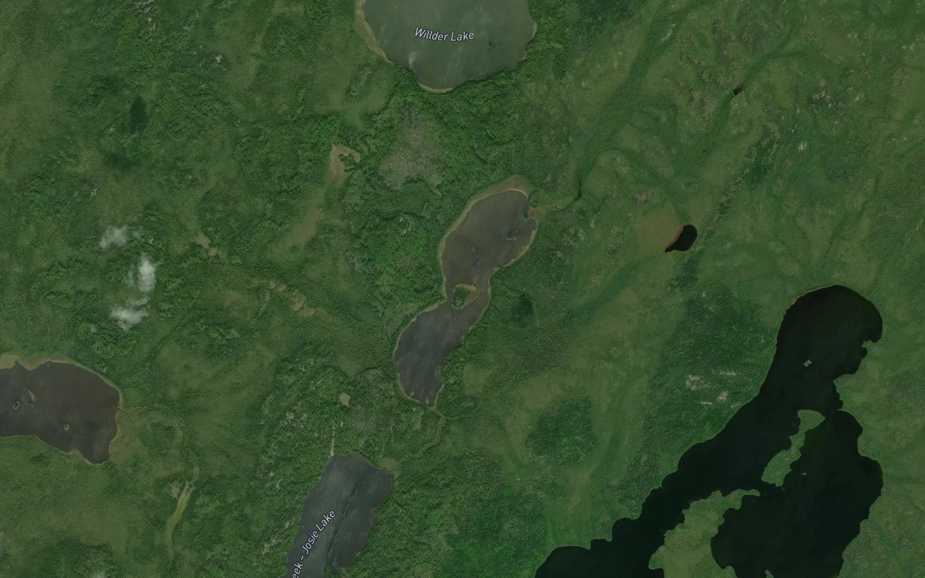 Satellite map of the Runnels Lake