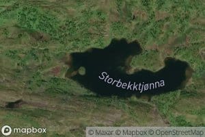Storbekktjonna