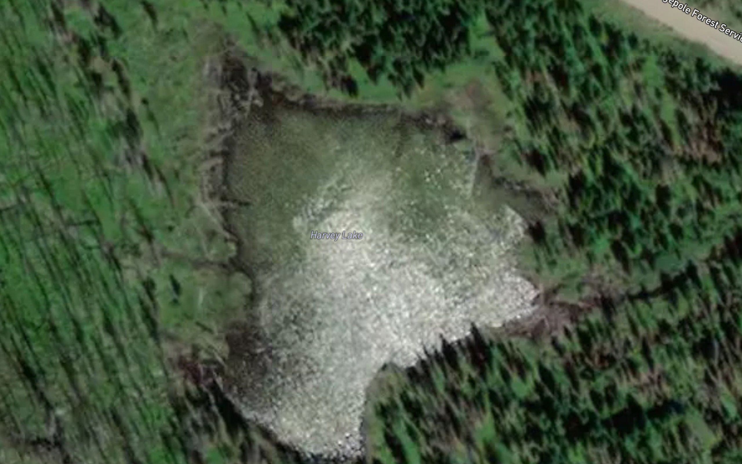 Harvey Lake