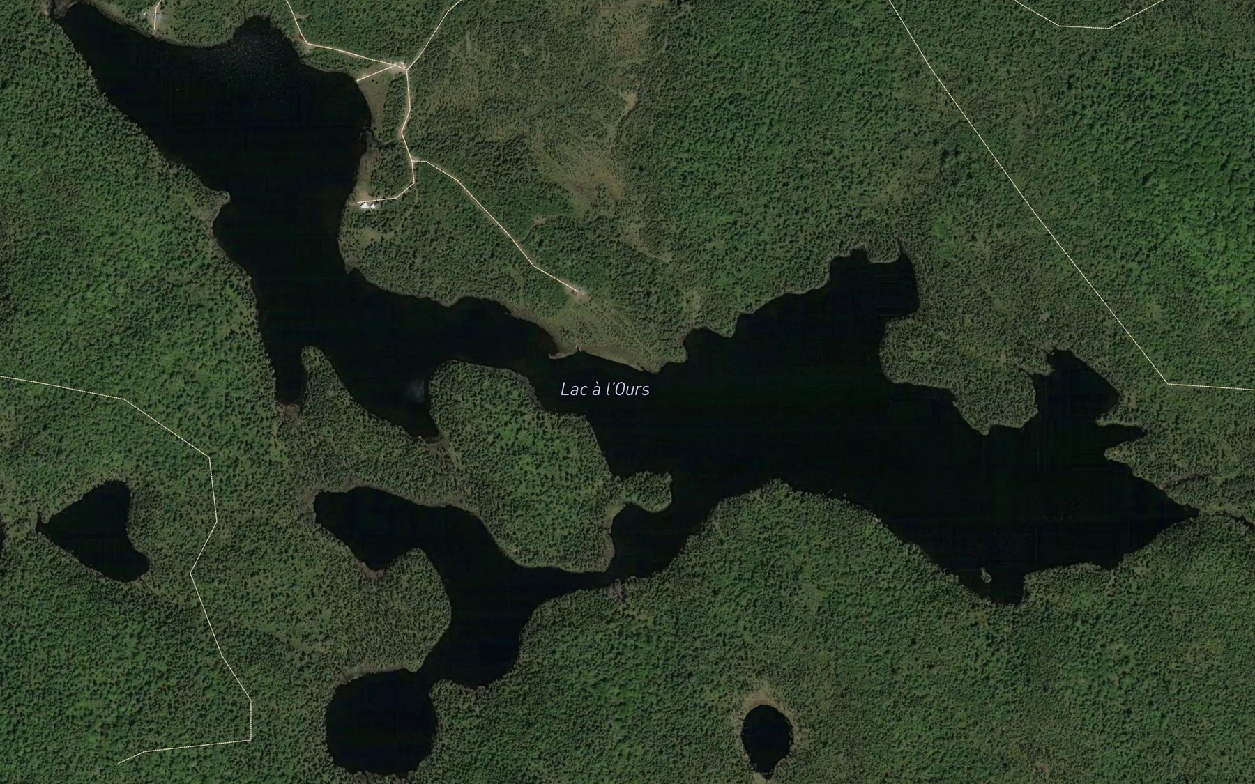 Satellite map of the Lac a l'Ours