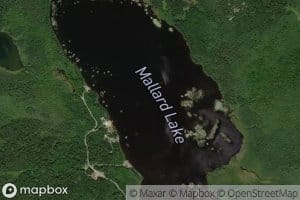 Mallard Lake