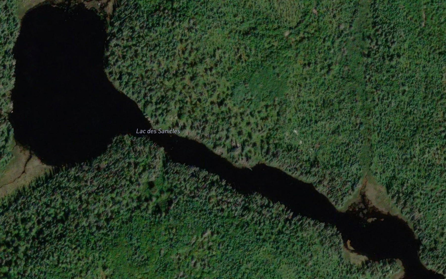 Satellite map of the Lac des Sanicles