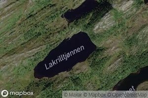 Lakviltjornane