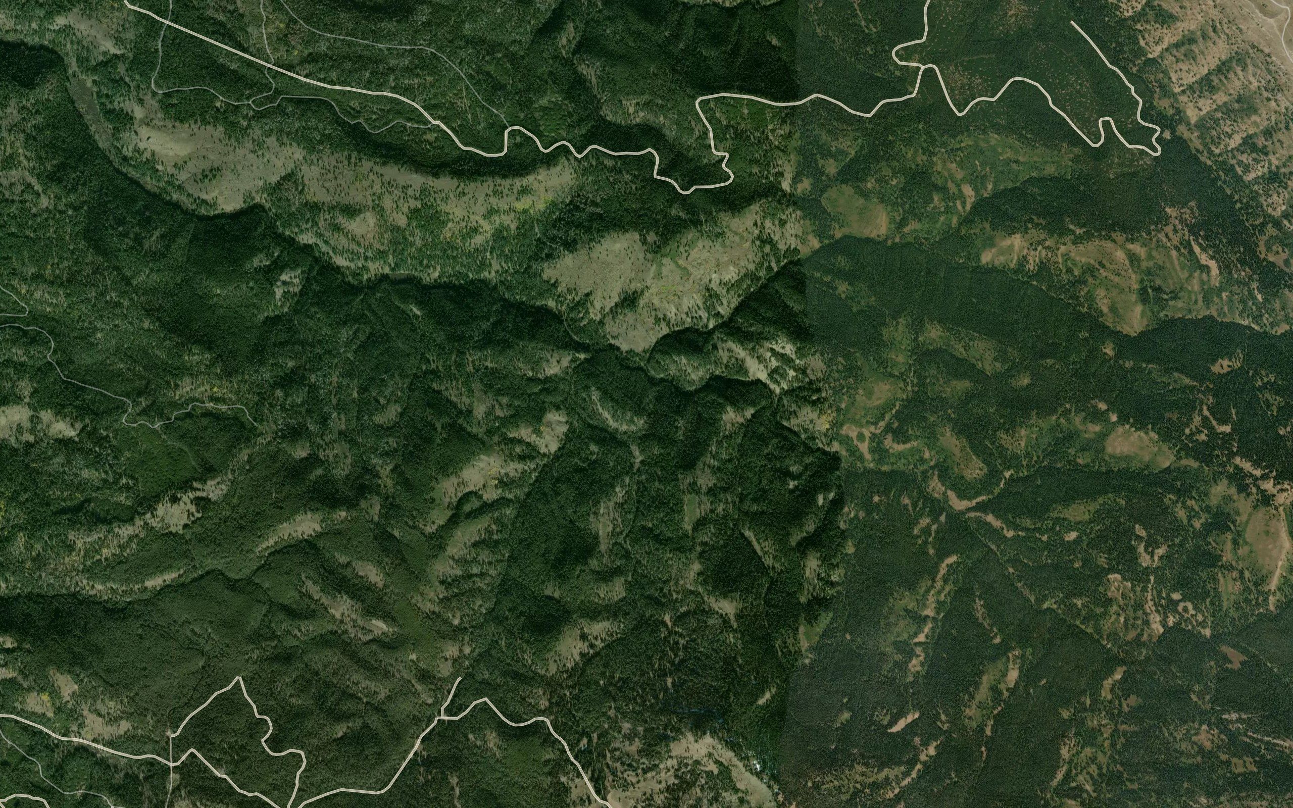 South Fork Canyon Creek