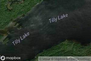 Tilly Lake