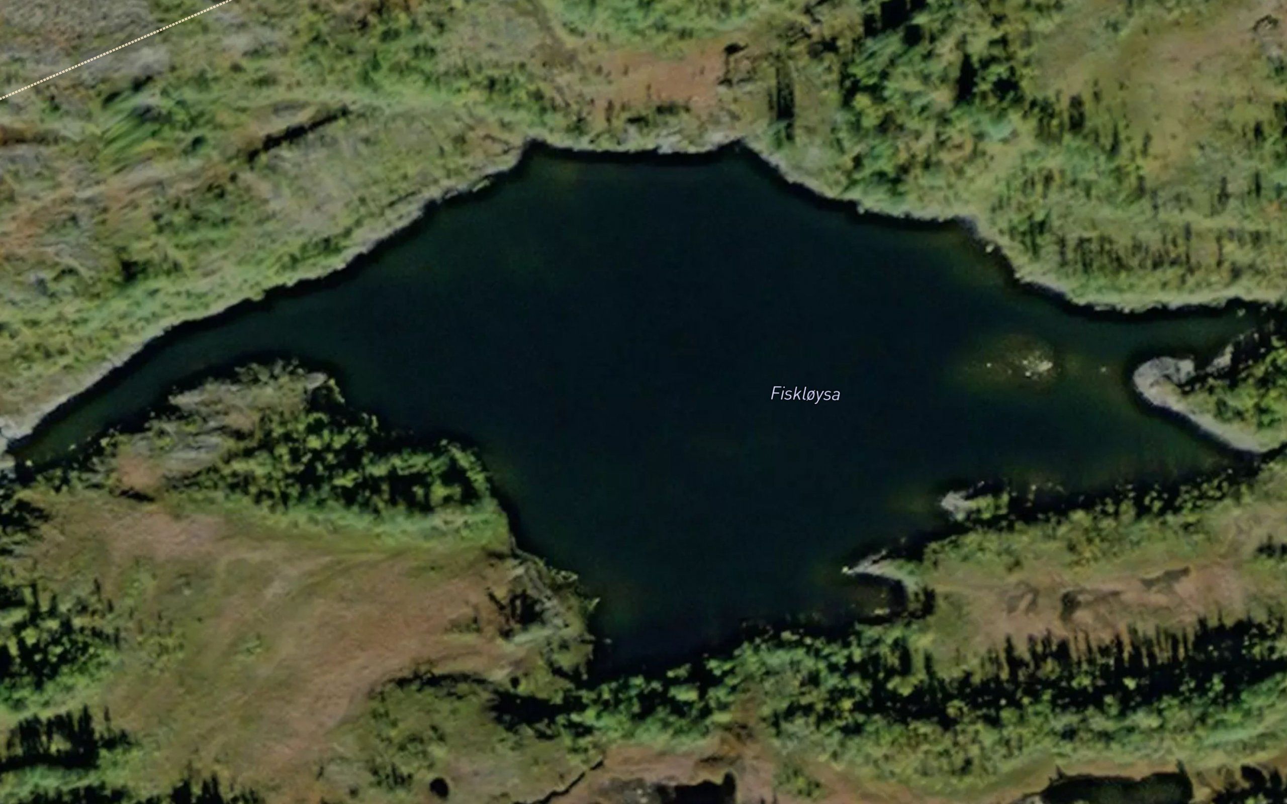 Fiskloysa