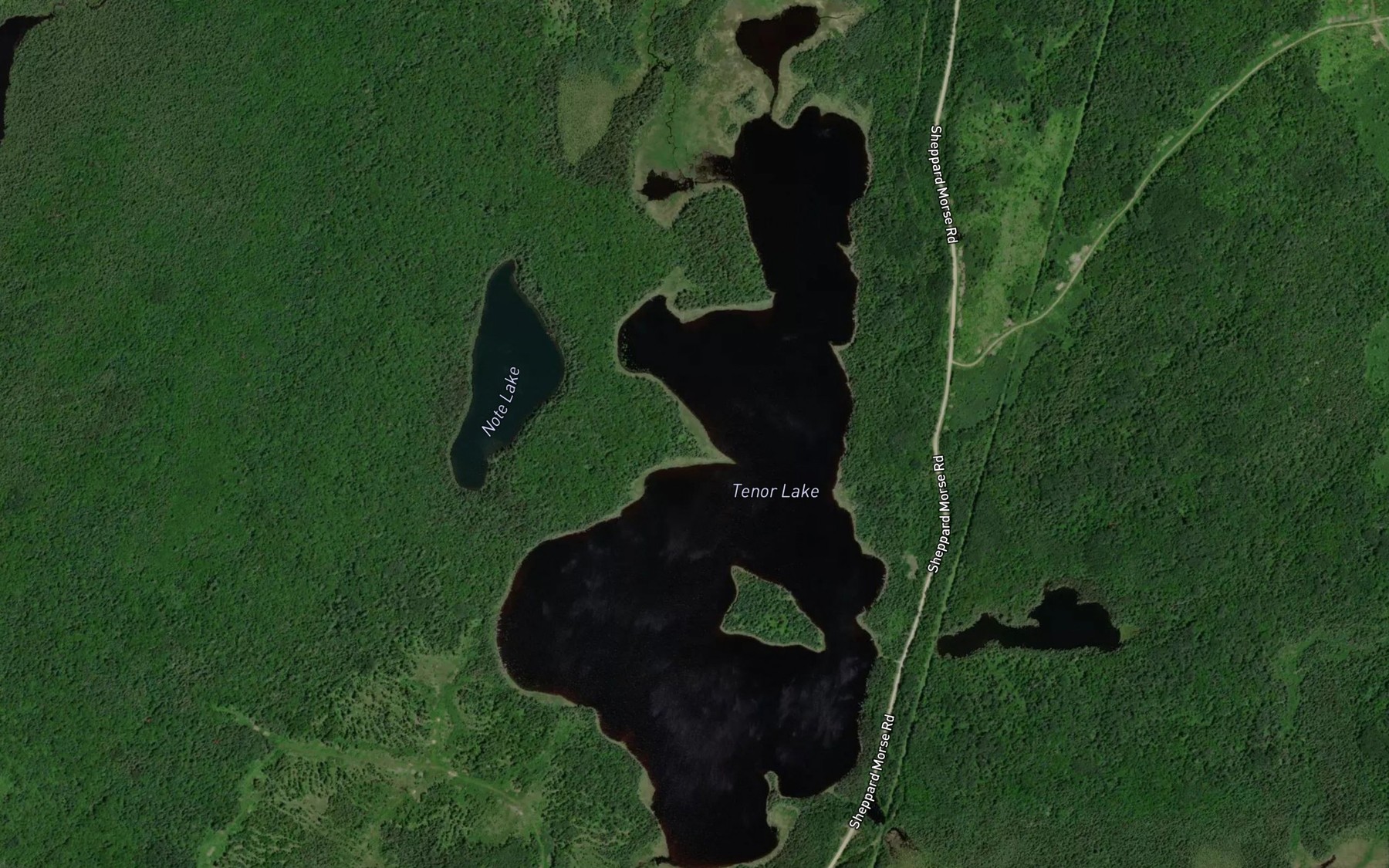 Satellite map of the Tenor Lake