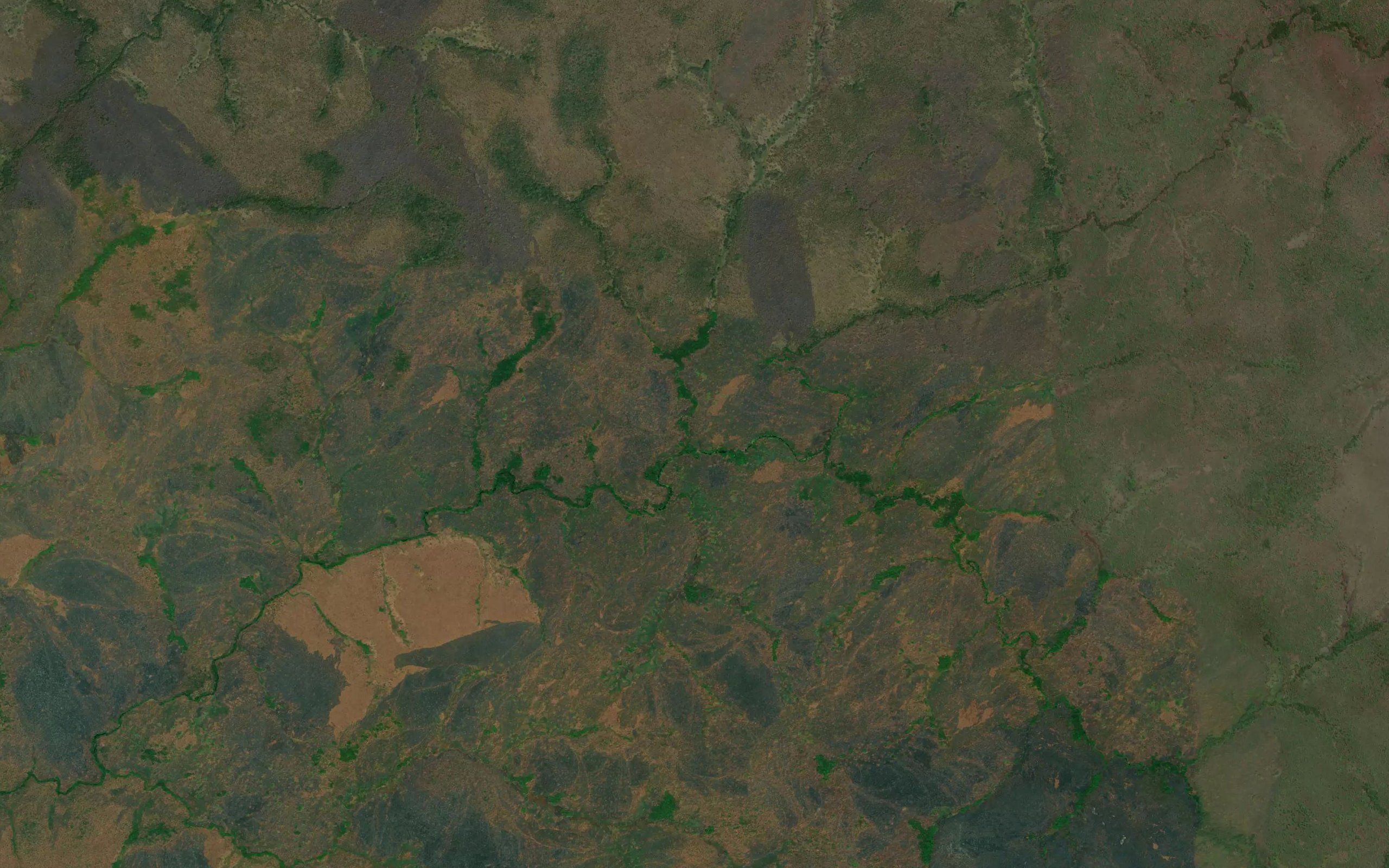 Dzedzebu