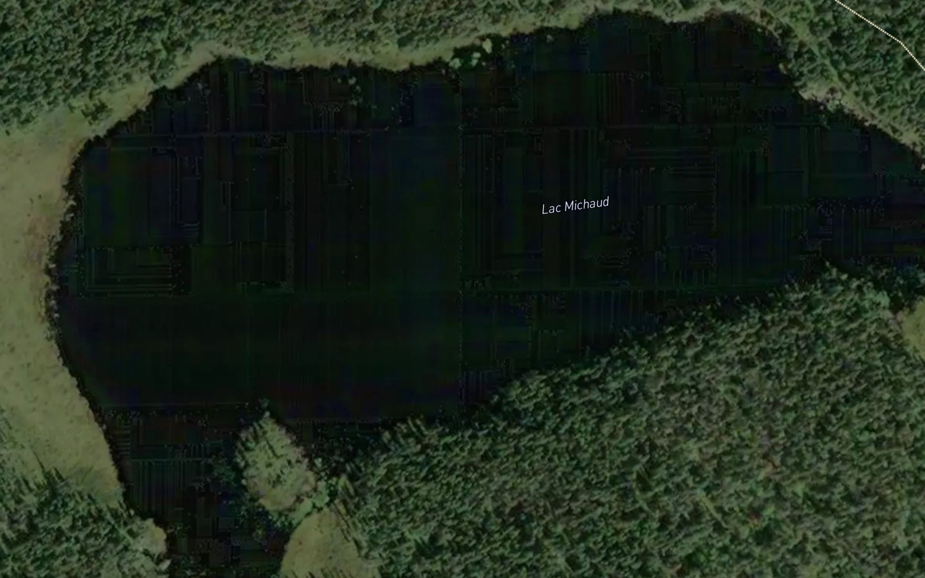 Satellite map of the Lac Michaud