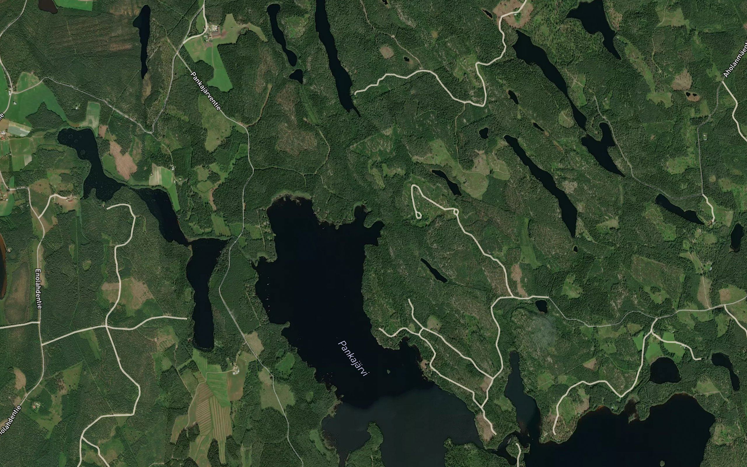 Sammalisenlahti
