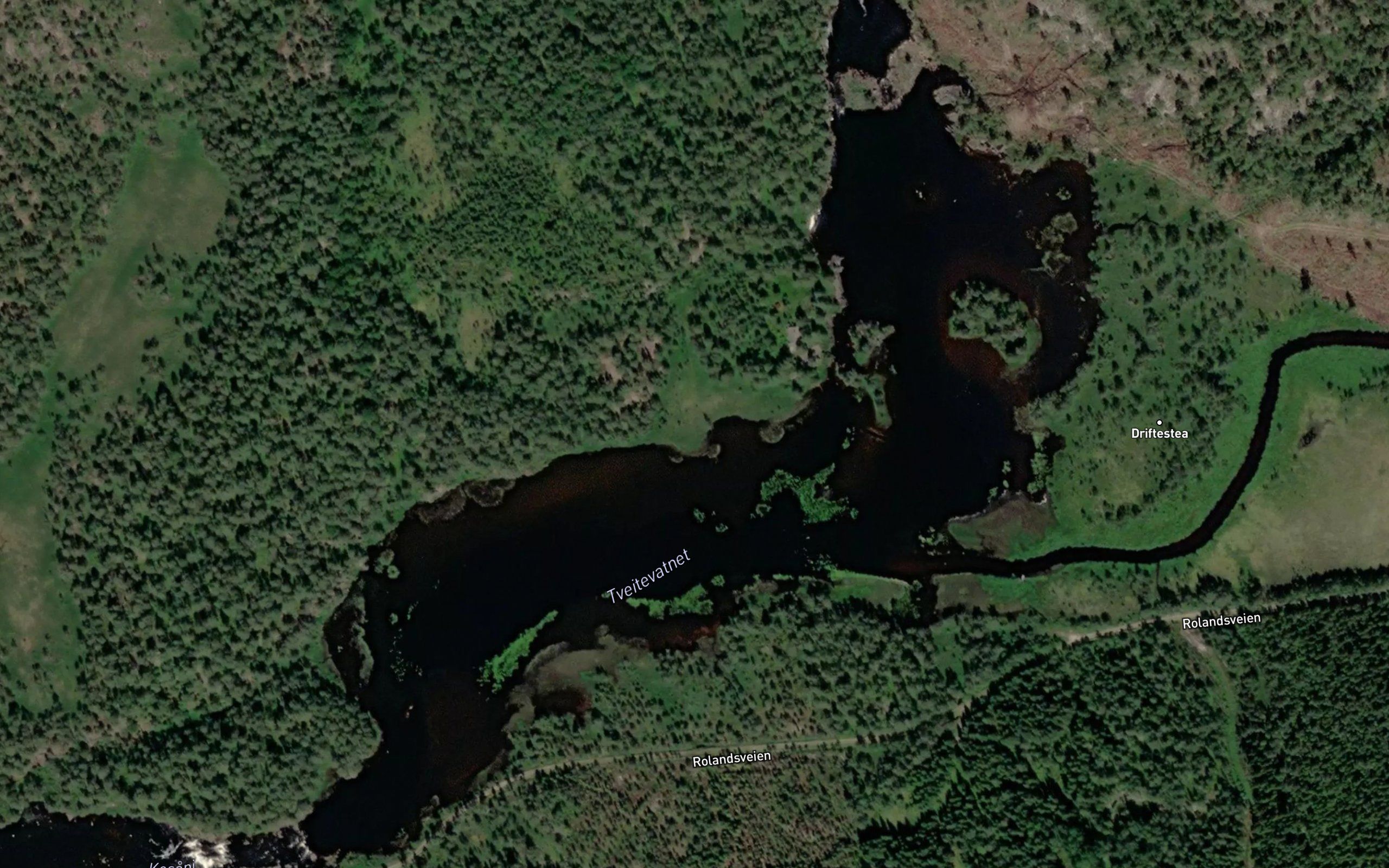 Tveitvannet