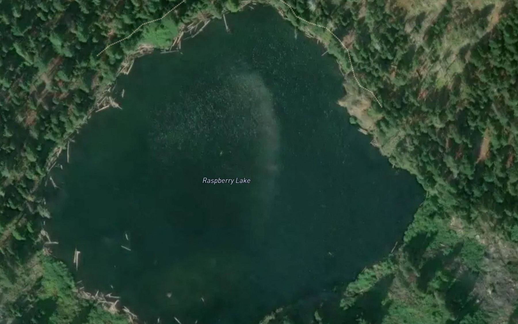 Satellite map of the Raspberry Lake