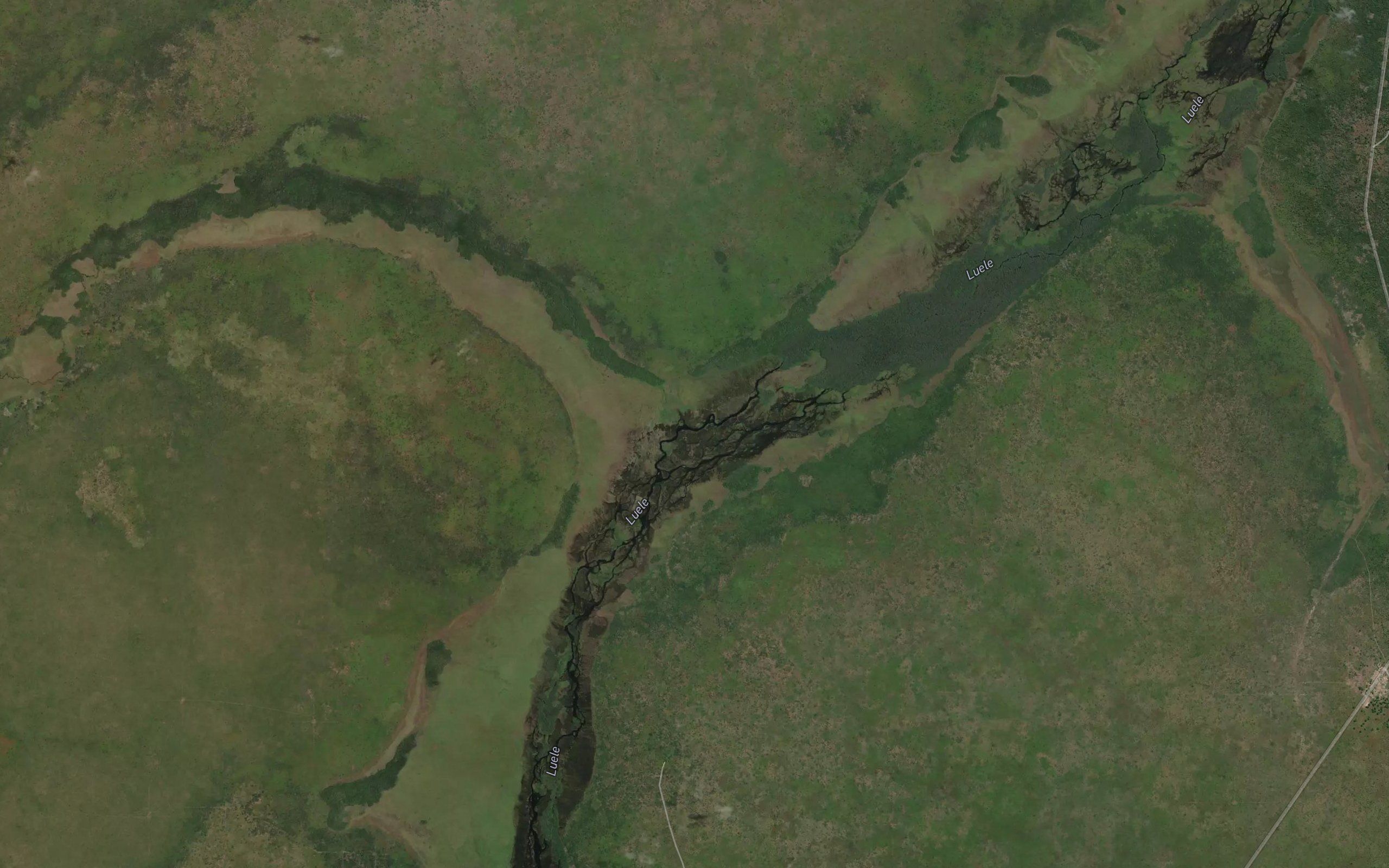 Luvula