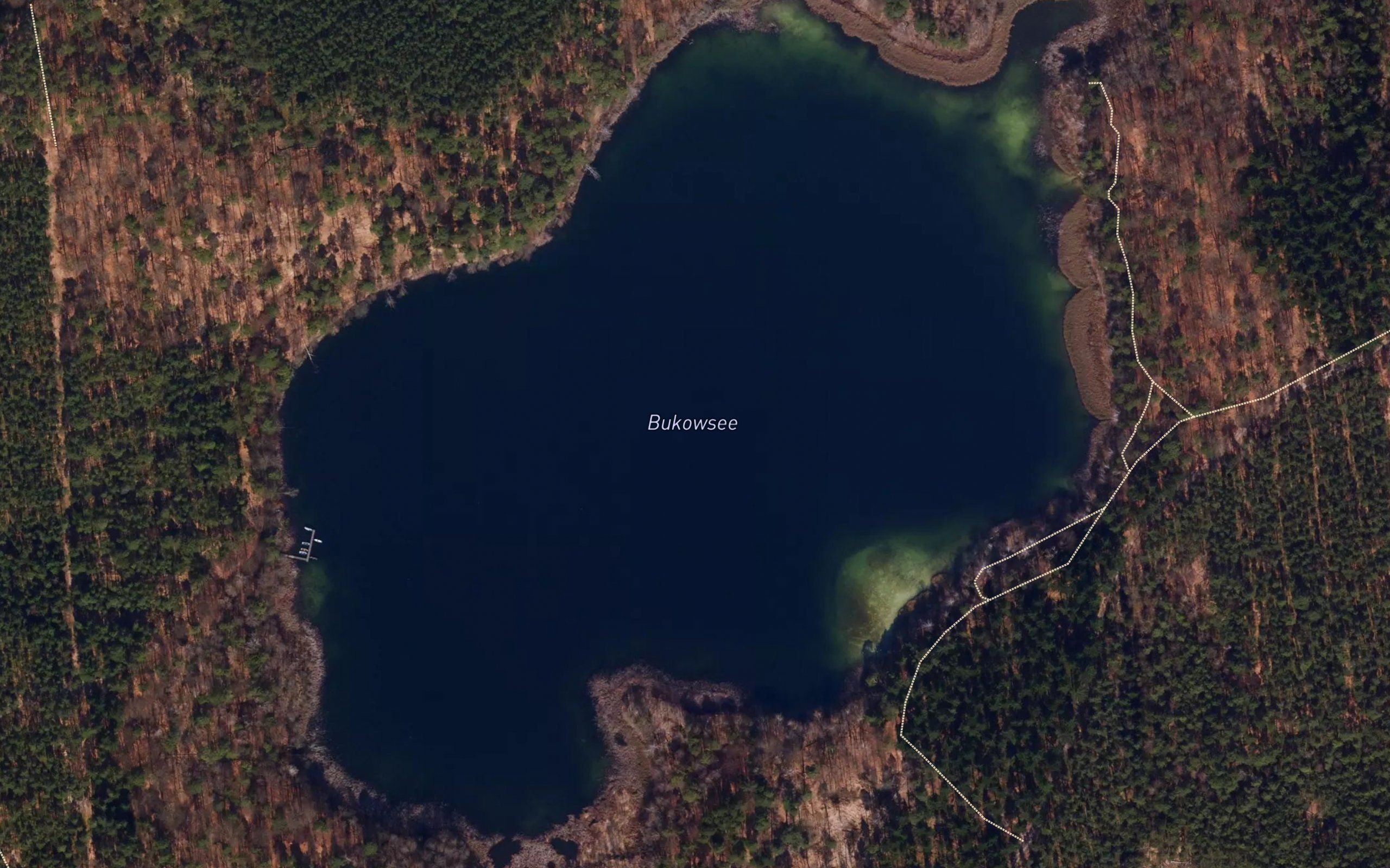 Bukowsee