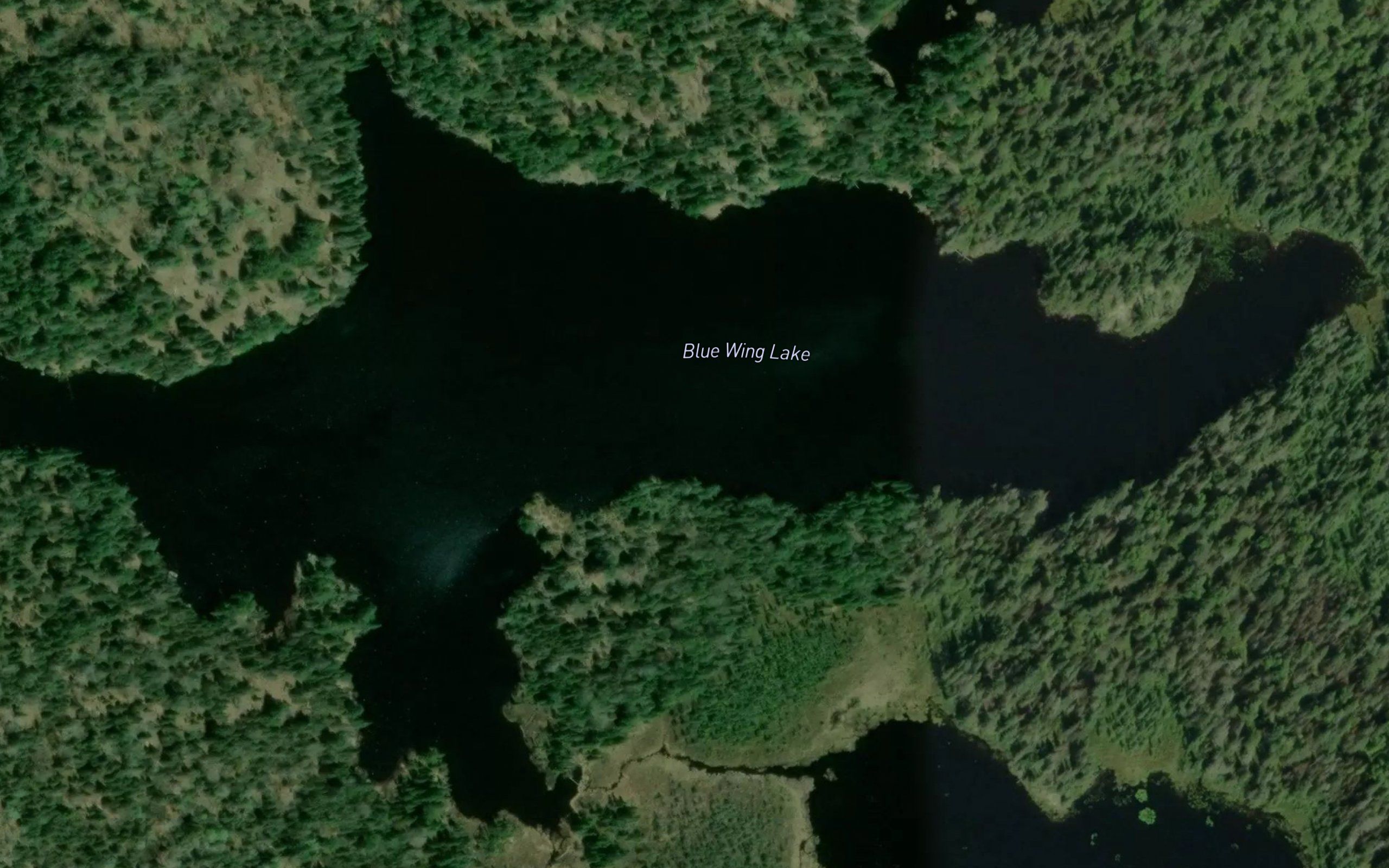 Blue Wing Lake
