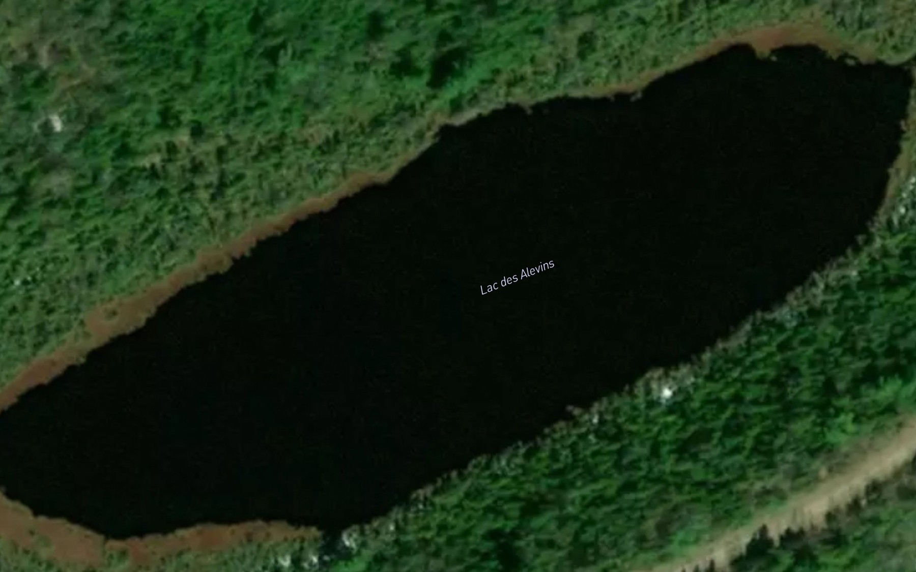 Satellite map of the Lac des Alevins