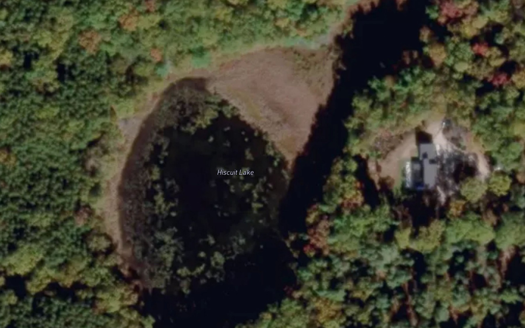 Satellite map of the Hiscuit Lake
