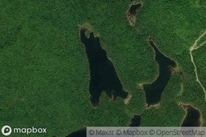Tame Rice Lake